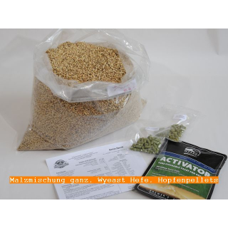 Pivo Pilzner, Mash Recipe, yields 20 liter