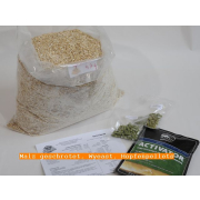 Dinkelpils, Mash Recipe, yields 20 liter